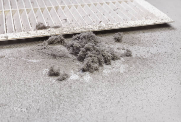 Best Air Duct Cleaning Near Me  in Cottonwood, AL