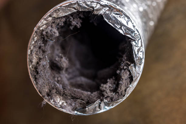 Best Commercial Air Duct Cleaning  in Cottonwood, AL